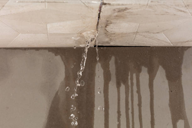 Professional Water Damage Inspection technician working in Cook Springs, AL